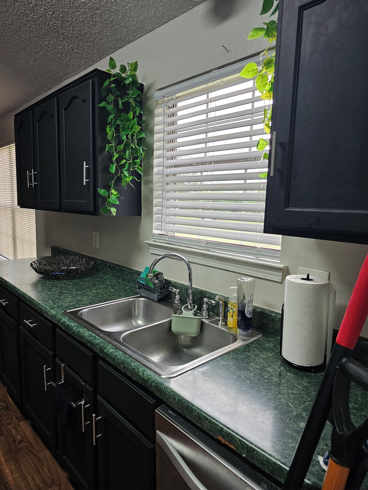 Imagen de perfil del propietario o de la propietaria