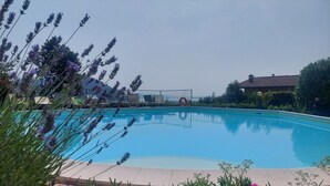 Ein Schwimmbecken, umgeben von Pflanzen und einem Zaun.