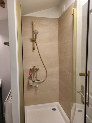 Regadera, toallas, papel de baño 