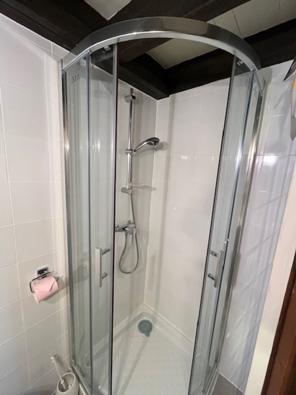 Hair dryer, towels, soap, toilet paper