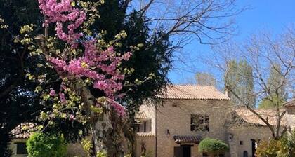 Chambre d'hĂŽte dans un pigeonnier au vert, au pied de Monflanquin