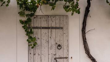 Suite Confort, chimenea, vista al parque | Ropa de cama hipoalergénica y wifi gratis