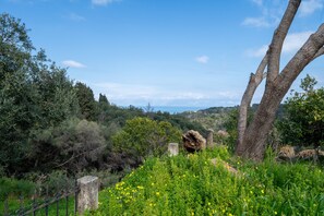 Vistas desde el alojamiento