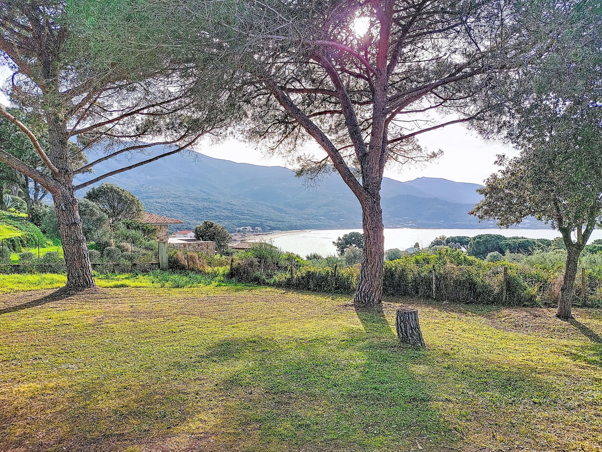 Une zone herbeuse avec des arbres, d’où l’on peut admirer un lac et des montagnes en arrière-plan.