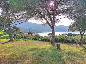 Property grounds - Chalet Terra Tramandera by Interhome (Calcatoggio)