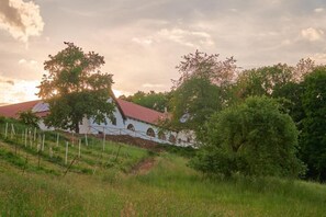 Property grounds - Aparthotel U Starého zámku (Soutice)