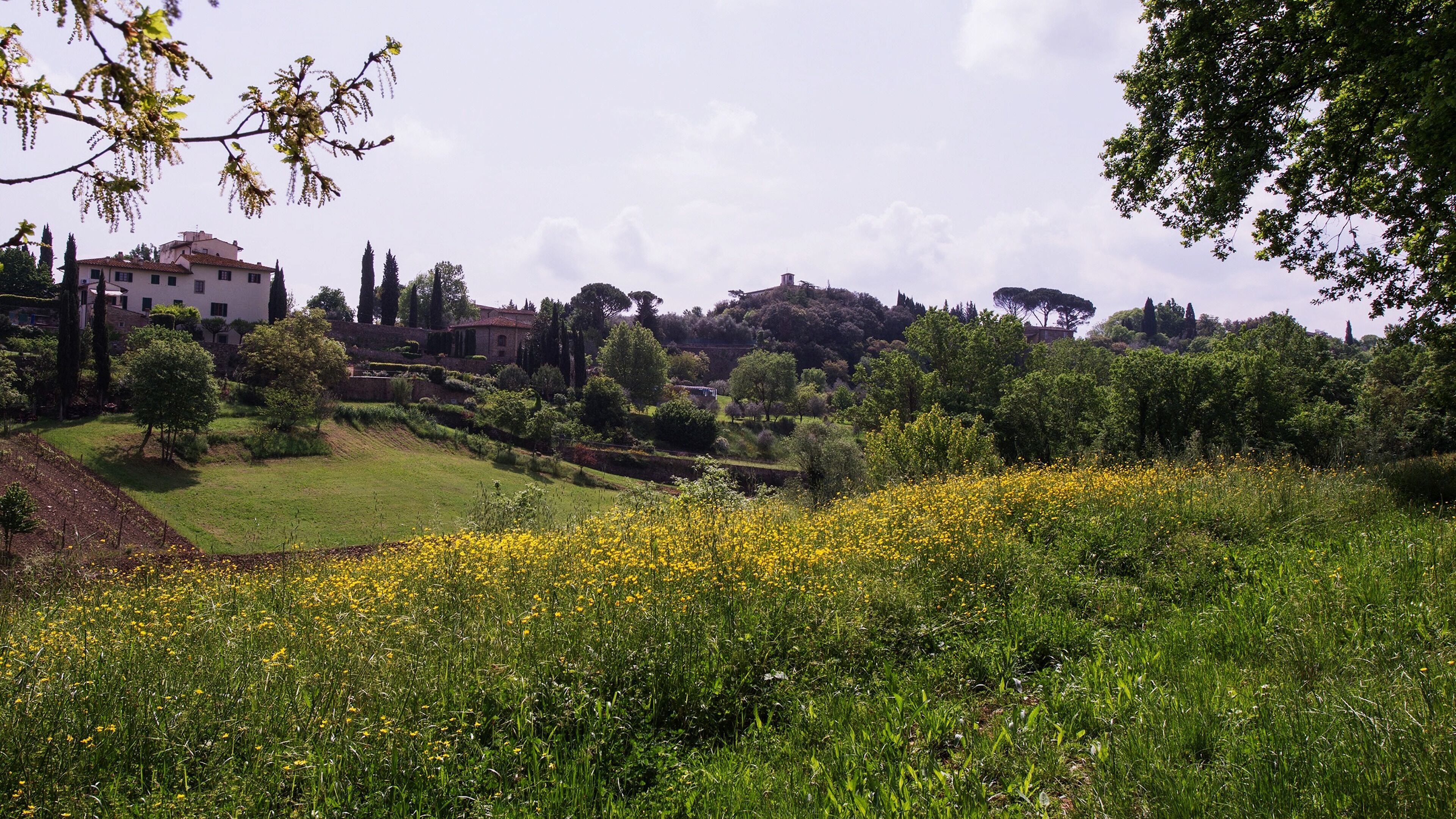 Ferienhaus | Unterkunftsgelände