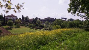 Property grounds - Torrino by Wynwood House (Florence)