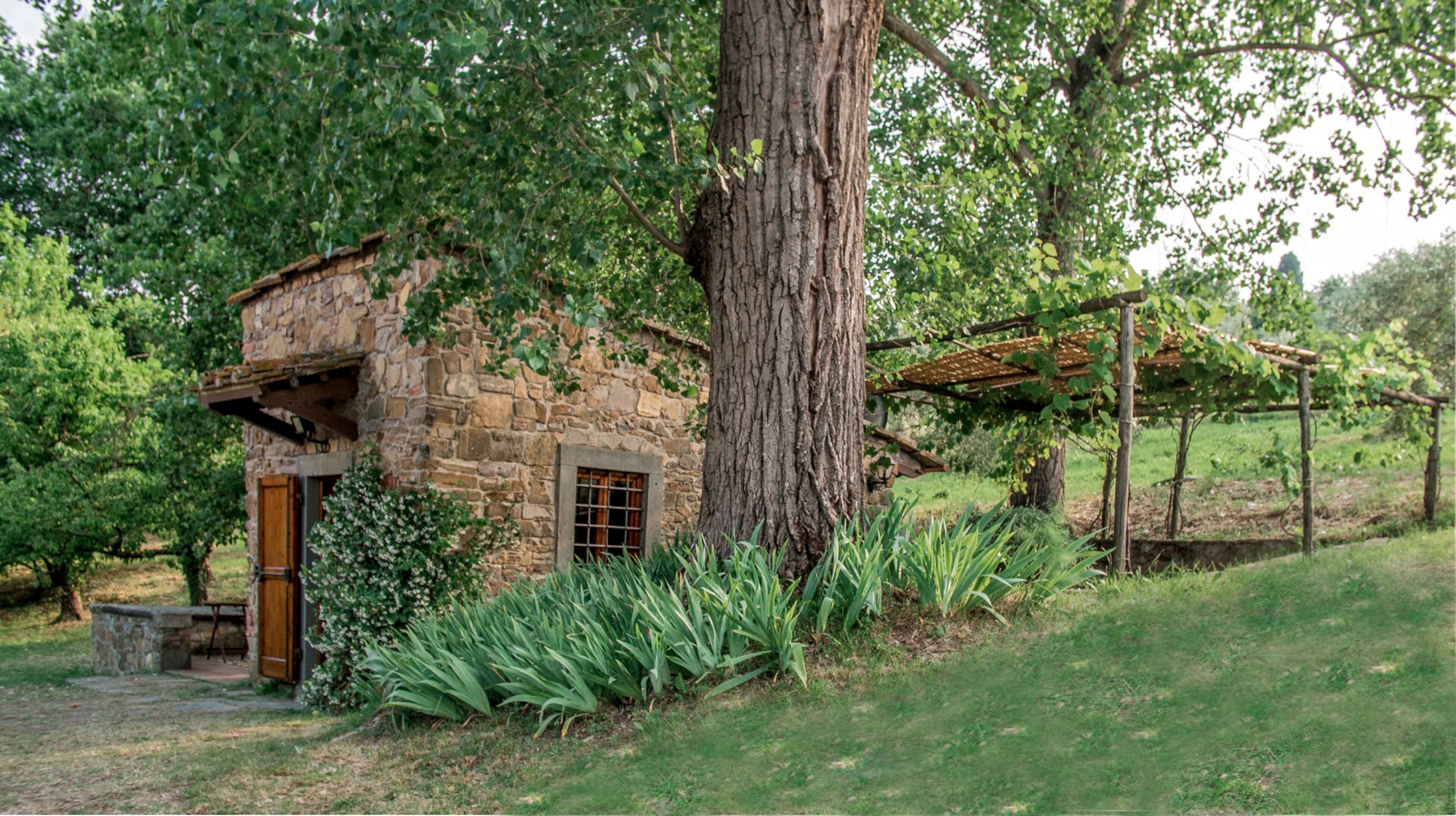 A rustic stone building with a wooden door and window, surrounded by lush greenery and a pergola.