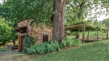 A rustic stone building with a wooden door and window, surrounded by lush greenery and a pergola.