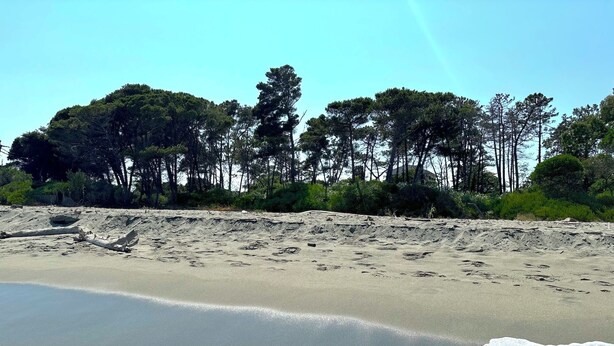 Een strand met een zandrijk strand en golven.