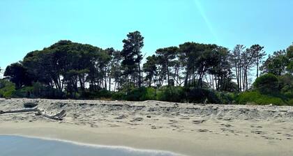 L'appartement Vinosa