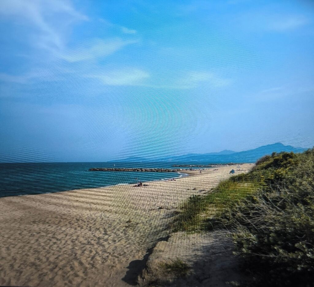 Accommodatie ligt op het strand