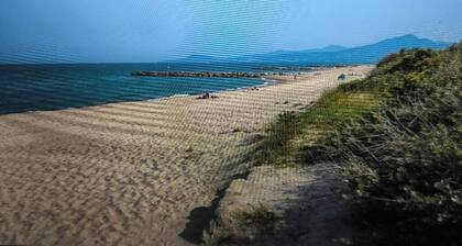 Apartment T2 -Résidence le Tropique - direct access to the beach + swimming pool