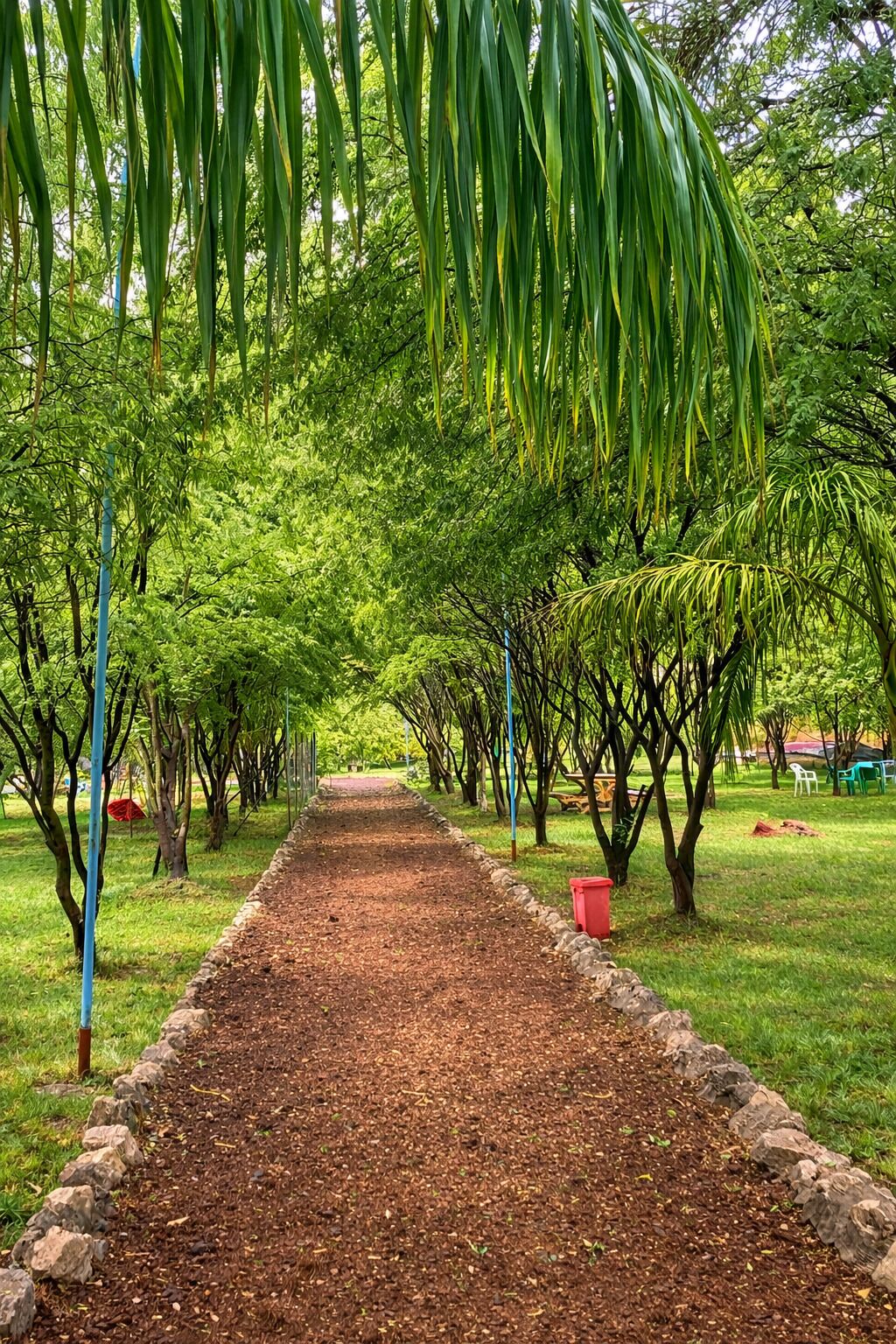 Phòng đôi hoặc 2 giường đơn Deluxe, quang cảnh vườn | Khuôn viên nơi lưu trú