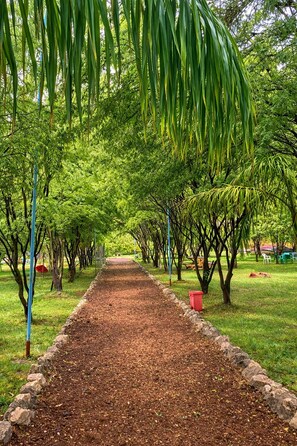 Kamar Double atau Twin Deluks, pemandangan kebun | Halaman properti