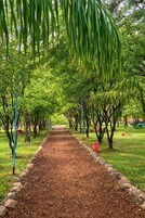 Quarto casal ou duplo luxo, vista para o jardim | Área da propriedade