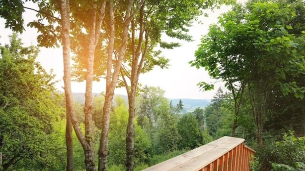 A wooden deck overlooking a forested area with trees and a distant view of mountains. - Cozy vacation apartment in the countryside (Sulzbach-Laufen)
