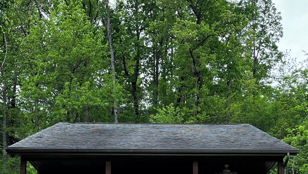 Een vakantiehuisje van hout met een veranda, omringd door groen en een grindpad.