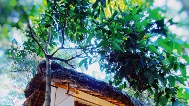 A wooden cabin with a thatched roof, large windows, and a wooden deck. - Ecoaraguaia Jungle Lodge (Caseara)