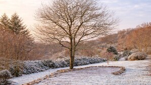 A snow-covered landscape with a central tree, surrounded by bushes and a stone path. - Au Pré du Chêne (Le Faouët)