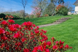 Property grounds - Au Pré du Chêne (Le Faouët)