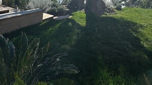 A tree-lined pathway leading to a body of water with a clear sky. - 180°C sea Giens peninsula (Carqueiranne)