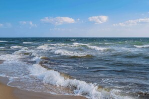 Playa en los alrededores 