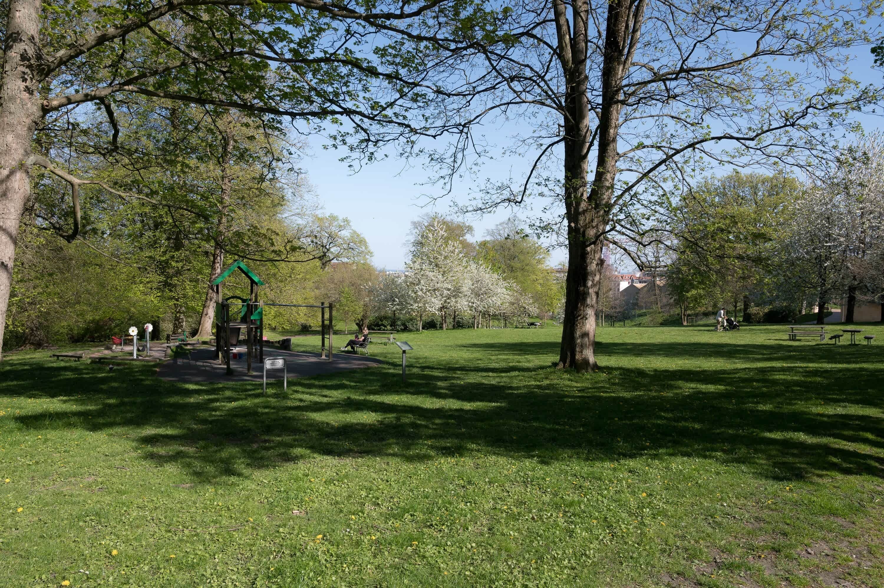 En park med legeplads, bænke og træer.