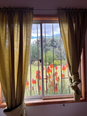 Interior - Ca bañas Giardino in Lago Ranco (Lago Ranco, Los Ríos)
