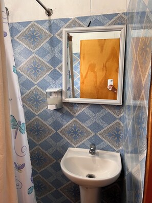 Shower, hair dryer, soap, toilet paper