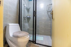 Shower, hair dryer, bidet, towels