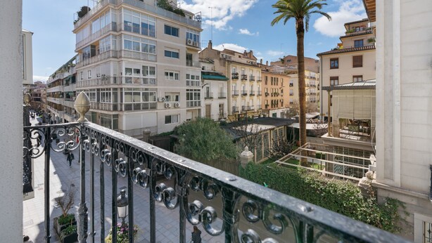 Un edificio de varios pisos con balcones, una palmera y un paseo peatonal.