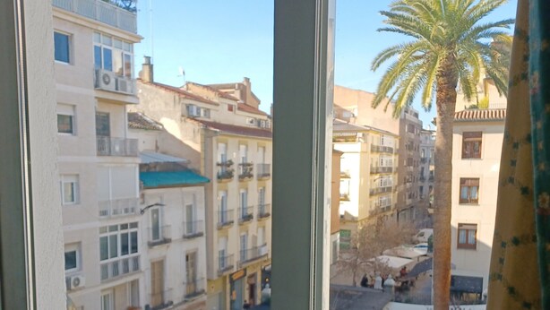 Blick aus einem Fenster auf einen Wohnbereich mit mehrstöckigen Gebäuden, einer Palme und einer Straße mit geparkten Autos.
