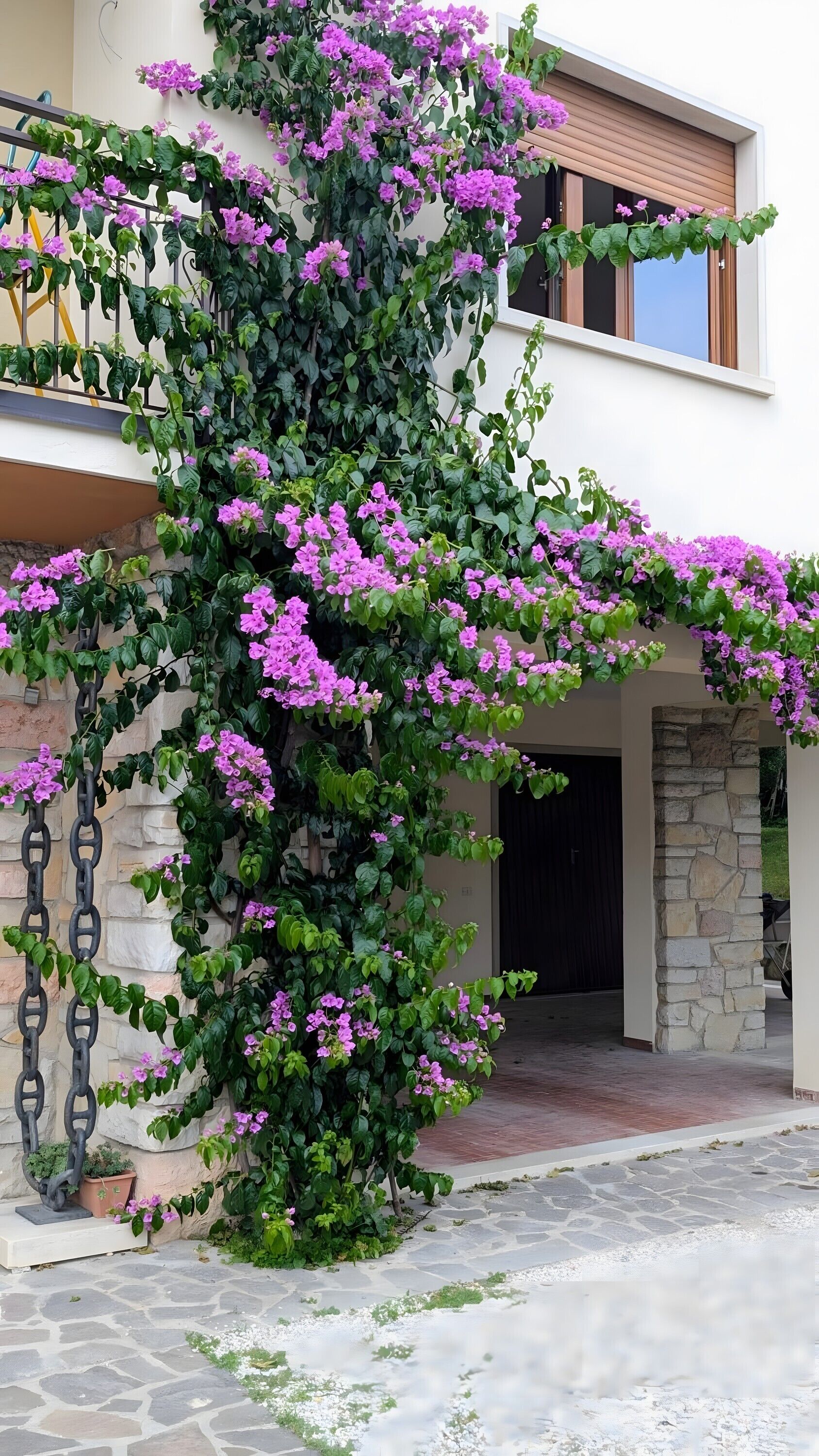 Details aan de buitenkant