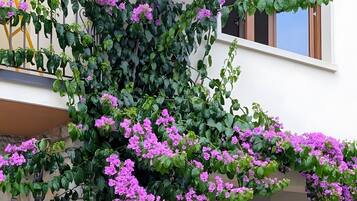 Details aan de buitenkant