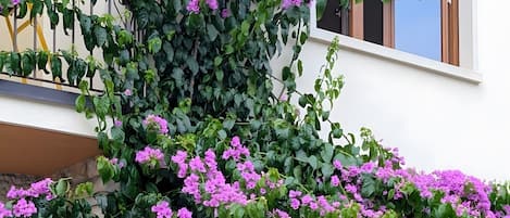 Detalle del exterior