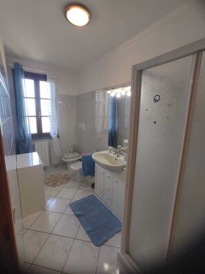Shower, hair dryer, bidet, towels