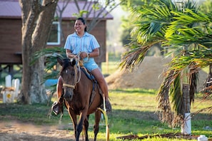 Horse riding - Carmelita River Cabins (San Ignacio)