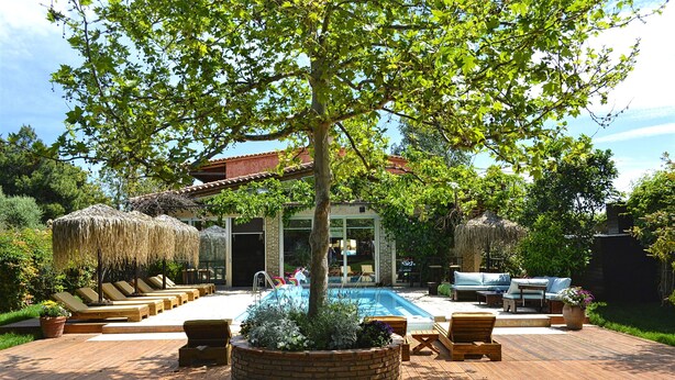 Un espace aménagé au bord de la piscine, avec des chaises longues, un barbecue et un parasol en chaume.