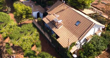 2 Private Villas in Large Estate. Sleeps 22. Near Airport