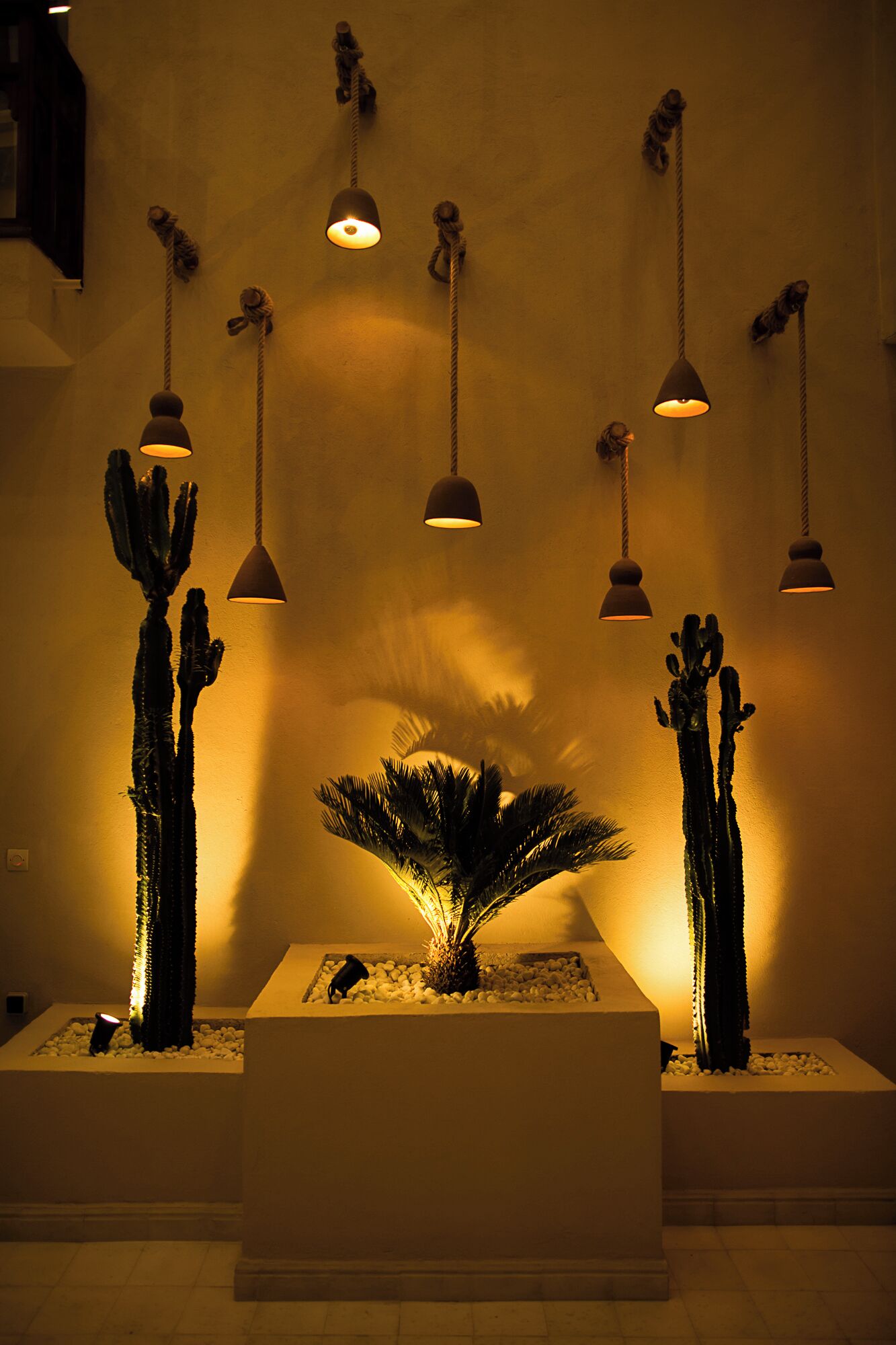 Una habitación con una planta de cactus central, rodeada de macetas blancas y múltiples lámparas colgantes.