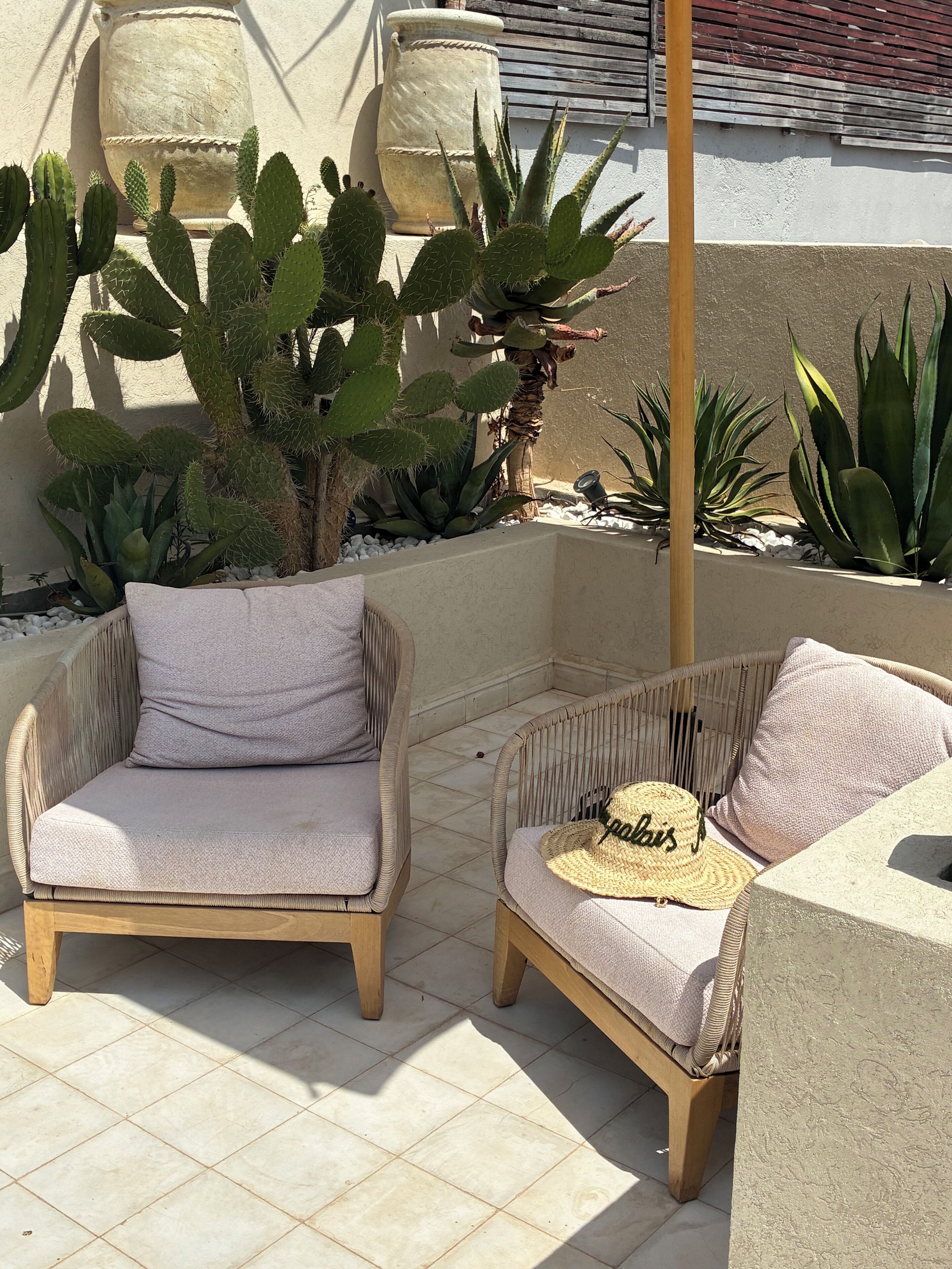 Eine Terrassenfläche mit zwei Korbstühlen, einer großen Sukkulente und einer Topfpflanze.
