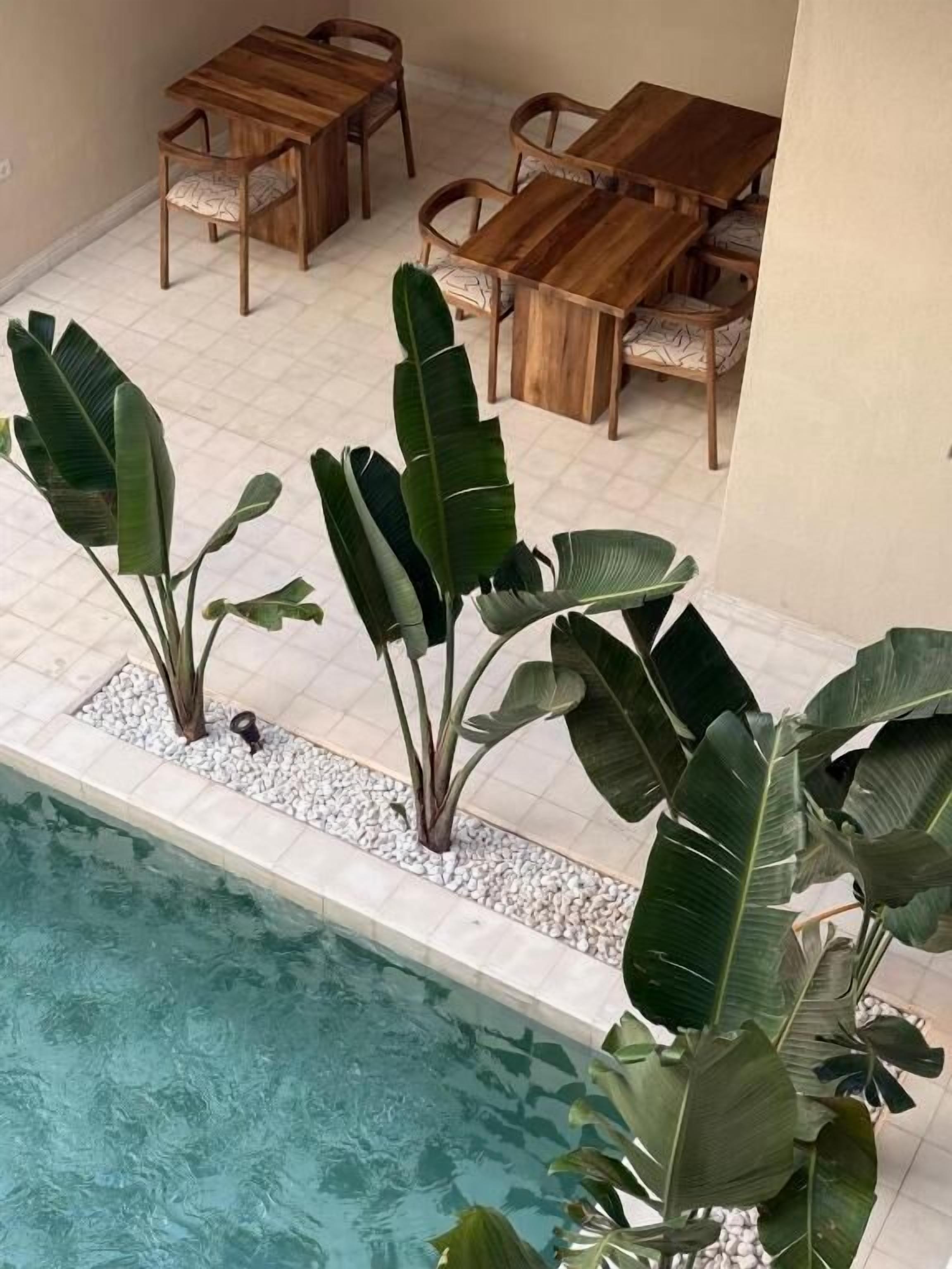 Un área de piscina con una mesa y sillas de madera, rodeada de plantas verdes grandes.