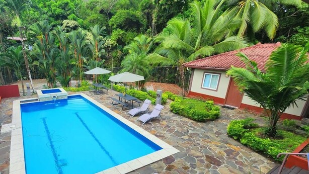 A rectangular pool with clear blue water, surrounded by stone tiles. There are lounge chairs and umbrellas around the pool. - Coconut Lodge (Las Cumbres)