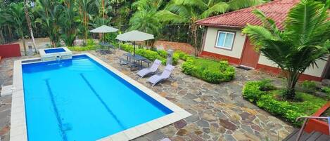 Outdoor pool, pool umbrellas, sun loungers