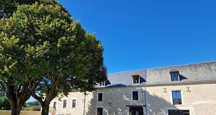 Maison rénovée Chinon avec pétanque, piscine, jeux enfants et billard