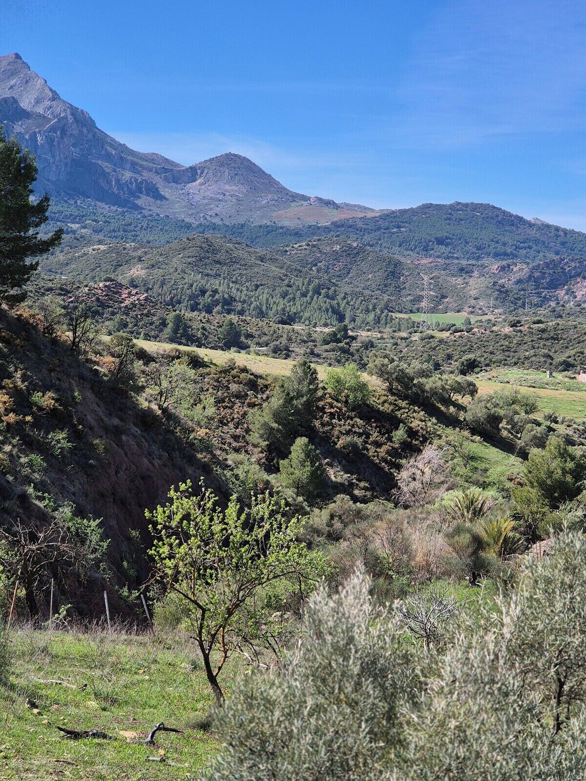 A mountainous landscape with a clear sky.
