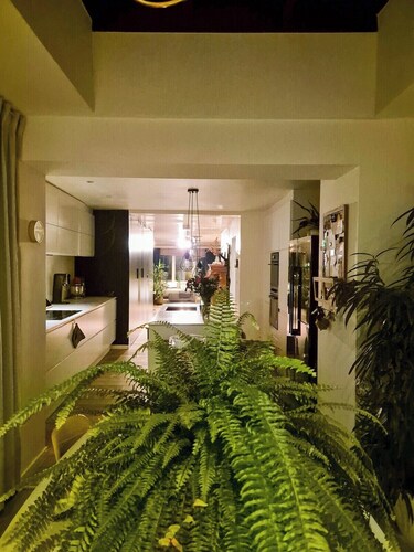 Enjoyable 3-bedroom apartment with terrace in the center of Ghent