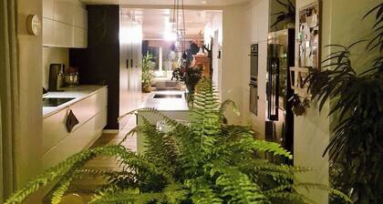 Enjoyable 3-bedroom apartment with terrace in the center of Ghent